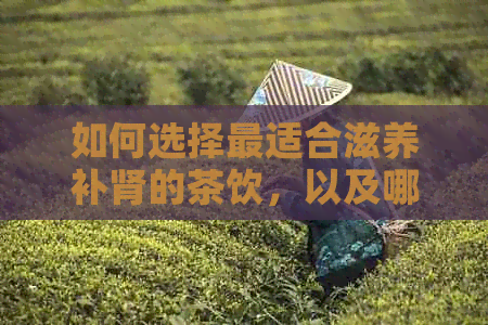 如何选择最适合滋养补肾的茶饮，以及哪些茶可以达到效果？