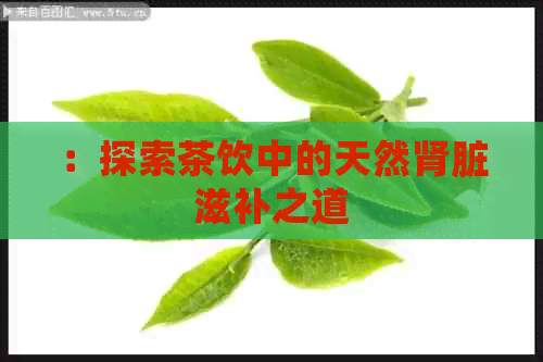 ：探索茶饮中的天然肾脏滋补之道