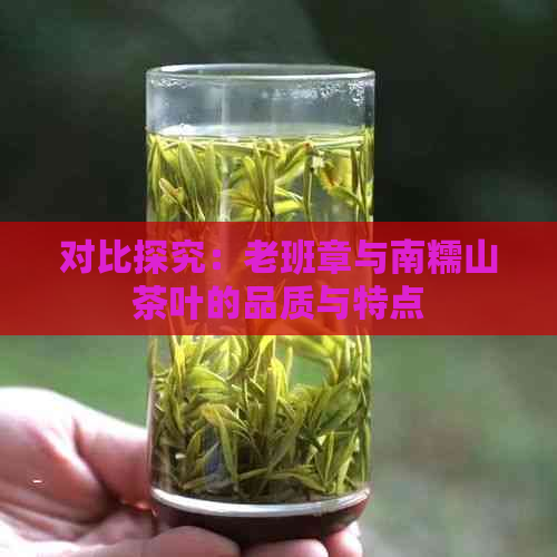 对比探究：老班章与南糯山茶叶的品质与特点