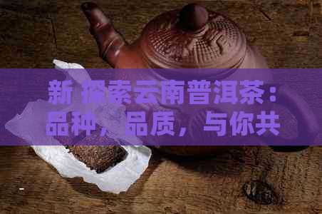 新 探索云南普洱茶：品种，品质，与你共享的全方位解析