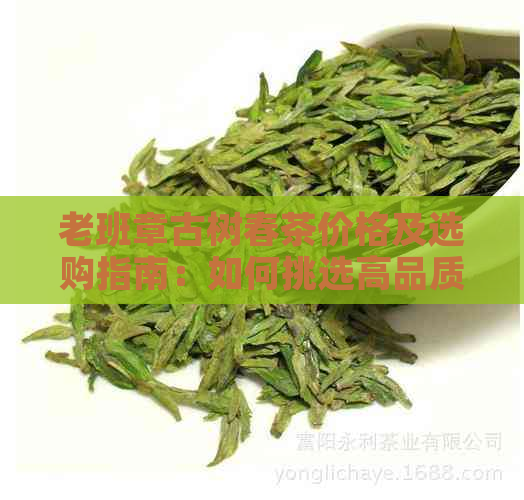 老班章古树春茶价格及选购指南：如何挑选高品质的古树春茶？