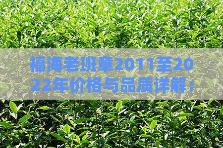 福海老班章2011至2022年价格与品质详解：古树饼茶深度评价