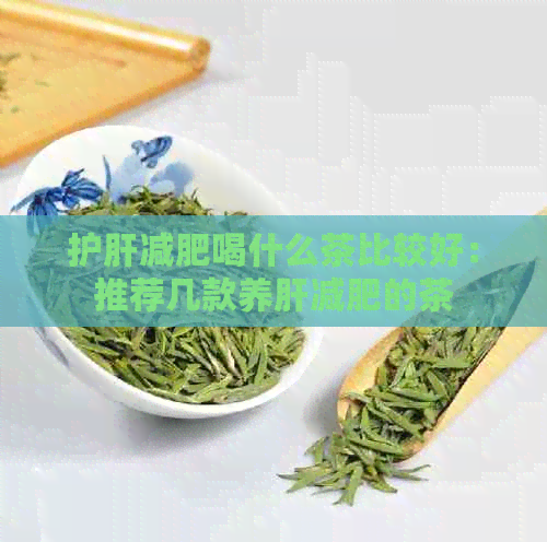 护肝减肥喝什么茶比较好：推荐几款养肝减肥的茶