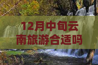 12月中旬云南旅游合适吗？