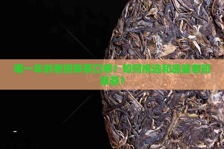 哪一年的老班章茶口感？如何挑选和品鉴老班章茶？