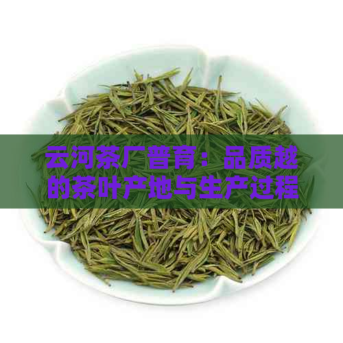 云河茶厂普育：品质越的茶叶产地与生产过程全解，探索茶文化魅力