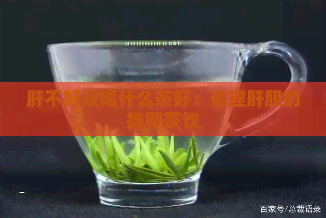 肝不好该喝什么茶好：调理肝胆的推荐茶饮