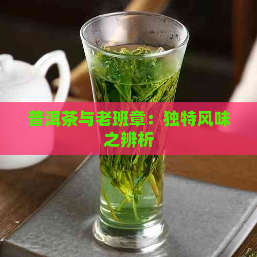 普洱茶与老班章：独特风味之辨析