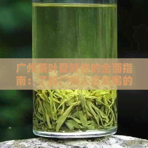 广州茶叶爱好者的全面指南：了解广州人喜欢喝的各种茶及其搭配建议