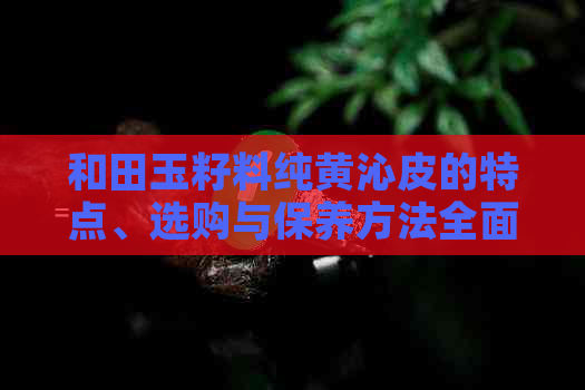 和田玉籽料纯黄沁皮的特点、选购与保养方法全面解析