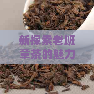 新探索老班章茶的魅力：一款传统与现代完美融合的茶叶