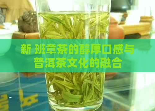 新 班章茶的醇厚口感与普洱茶文化的融合