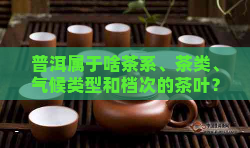 普洱属于啥茶系、茶类、气候类型和档次的茶叶？