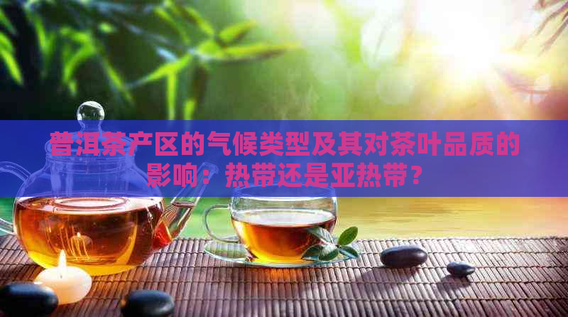 普洱茶产区的气候类型及其对茶叶品质的影响：热带还是亚热带？