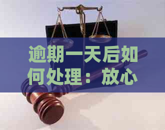 逾期一天后如何处理：放心借款的解决方案