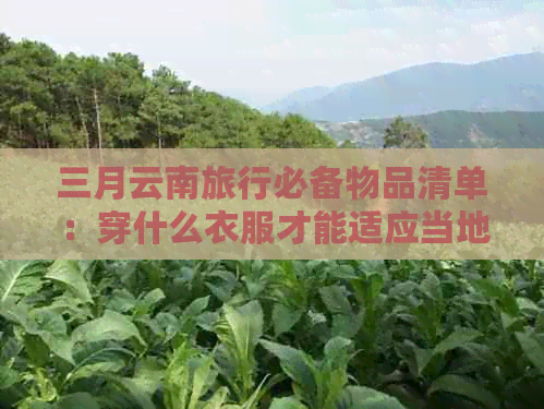 三月云南旅行必备物品清单：穿什么衣服才能适应当地的气候变化？