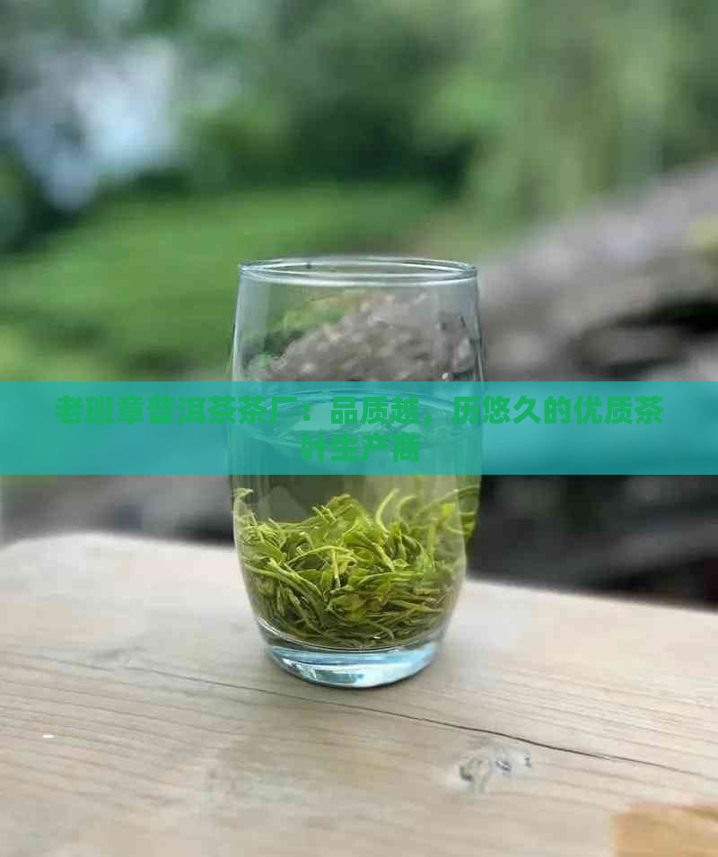 老班章普洱茶茶厂：品质越，历悠久的优质茶叶生产商