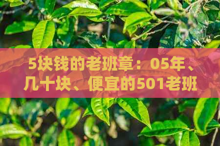 5块钱的老班章：05年、几十块、便宜的501老班章，老班章贵吗？