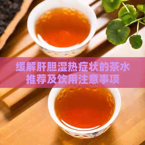 缓解肝胆湿热症状的茶水推荐及饮用注意事项