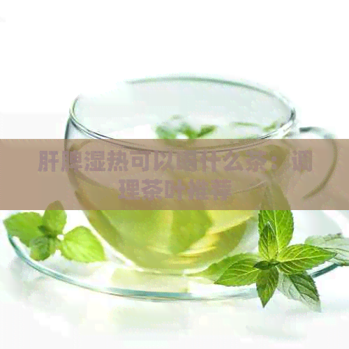 肝脾湿热可以喝什么茶：调理茶叶推荐