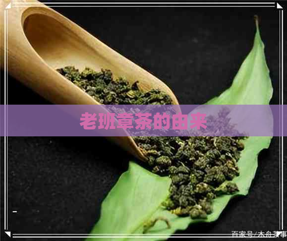 老班章茶的由来