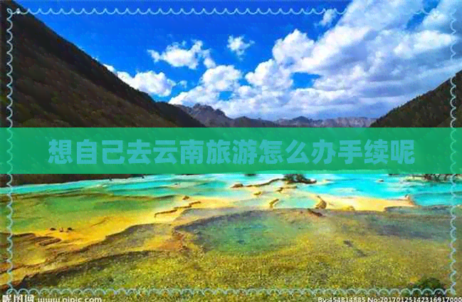 想自己去云南旅游怎么办手续呢