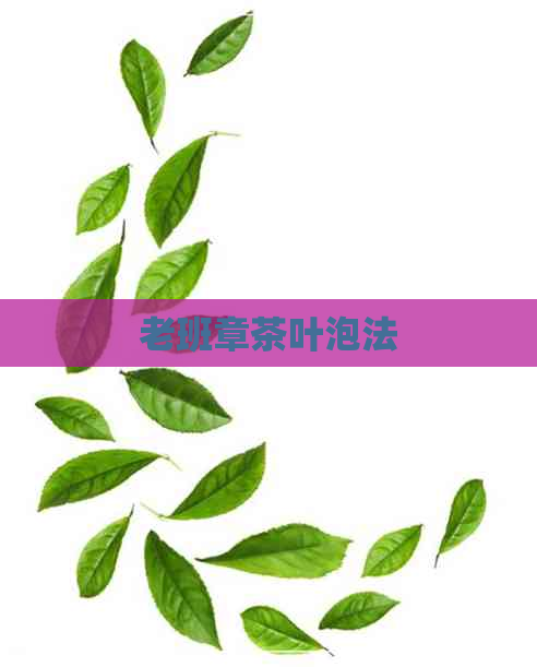 老班章茶叶泡法