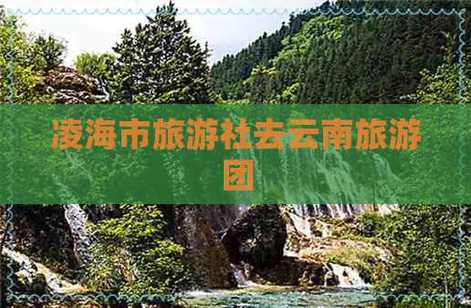 凌海市旅游社去云南旅游团