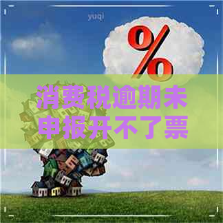 消费税逾期未申报开不了票