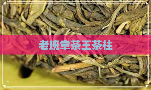 老班章茶王茶柱