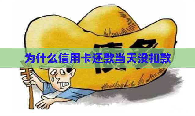 为什么信用卡还款当天没扣款