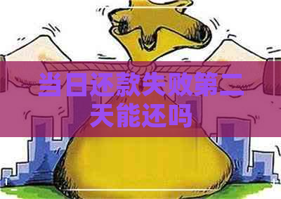 当日还款失败第二天能还吗