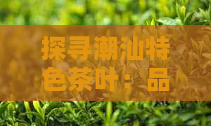 探寻潮汕特色茶叶：品味地道工夫茶与普洱茶之外的选择