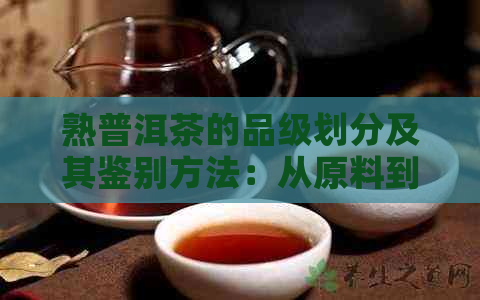 熟普洱茶的品级划分及其鉴别方法：从原料到工艺的全方位解析