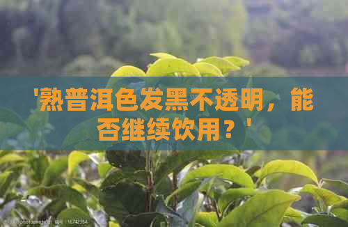 '熟普洱色发黑不透明，能否继续饮用？'