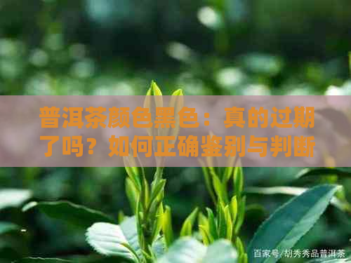 普洱茶颜色黑色：真的过期了吗？如何正确鉴别与判断？