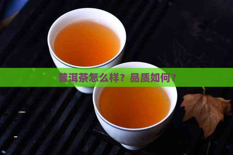 普洱茶怎么样？品质如何？