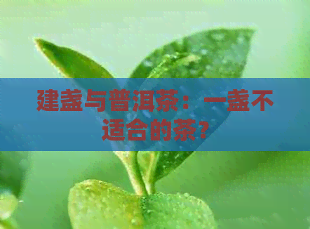 建盏与普洱茶：一盏不适合的茶？