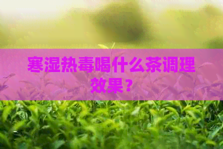 寒湿热喝什么茶调理效果？