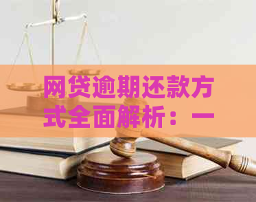 网贷逾期还款方式全面解析：一次性还清是否唯一选择？