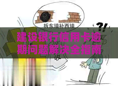 建设银行信用卡逾期问题解决全指南