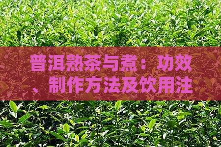 普洱熟茶与煮：功效、制作方法及饮用注意事项，一文解析全方位茶道体验