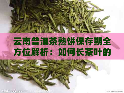 云南普洱茶熟饼保存期全方位解析：如何长茶叶的保质期以及注意事项