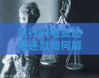 招行闪电贷逾期还款如何解决？是否可以申请期？