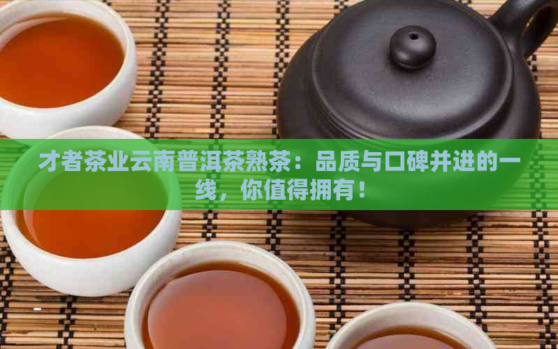 才者茶业云南普洱茶熟茶：品质与口碑并进的一线，你值得拥有！