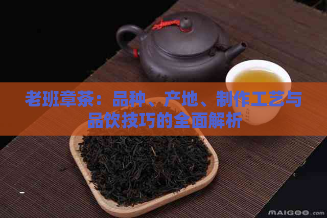 老班章茶：品种、产地、制作工艺与品饮技巧的全面解析