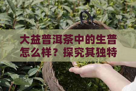 大益普洱茶中的生普怎么样？探究其独特口感与益生功效