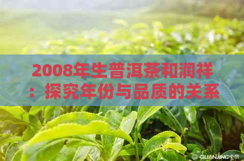 2008年生普洱茶和润祥：探究年份与品质的关系