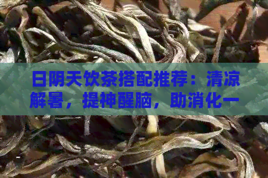 日阴天饮茶搭配推荐：清凉解暑，提神醒脑，助消化一网打尽