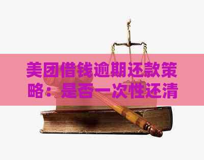 美团借钱逾期还款策略：是否一次性还清全额？